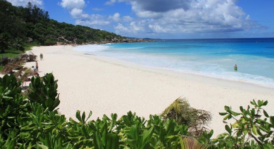 Petite Anse Beach