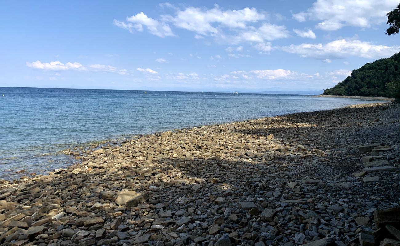 Photo of Strunjan beach with rocks cover surface