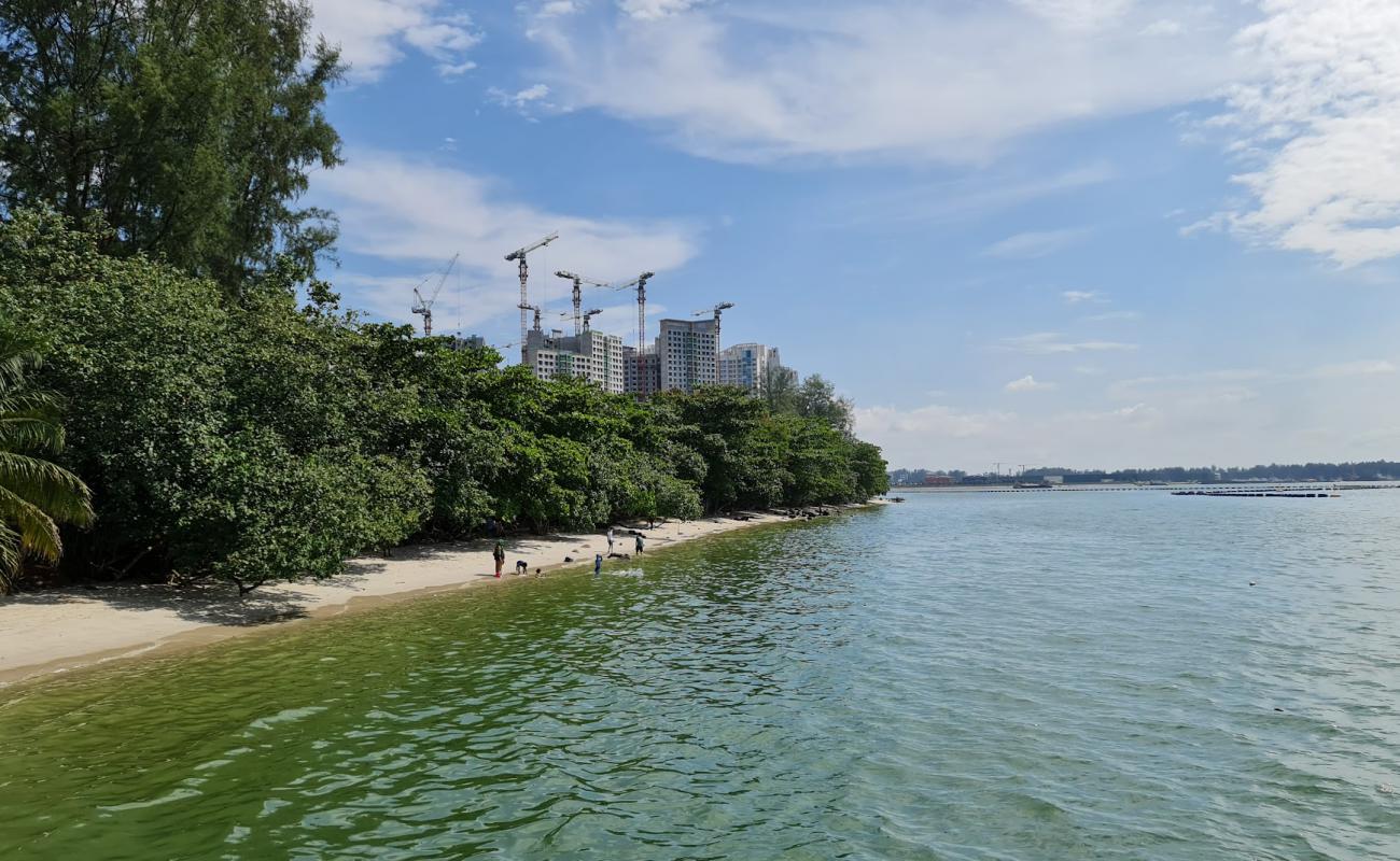 Photo of Northshore Beach with bright sand surface