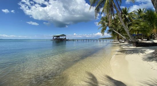 Starfish Beach