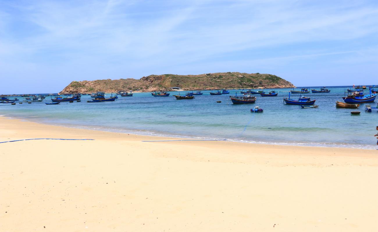 Photo of Nhon Hai Beach with bright sand surface