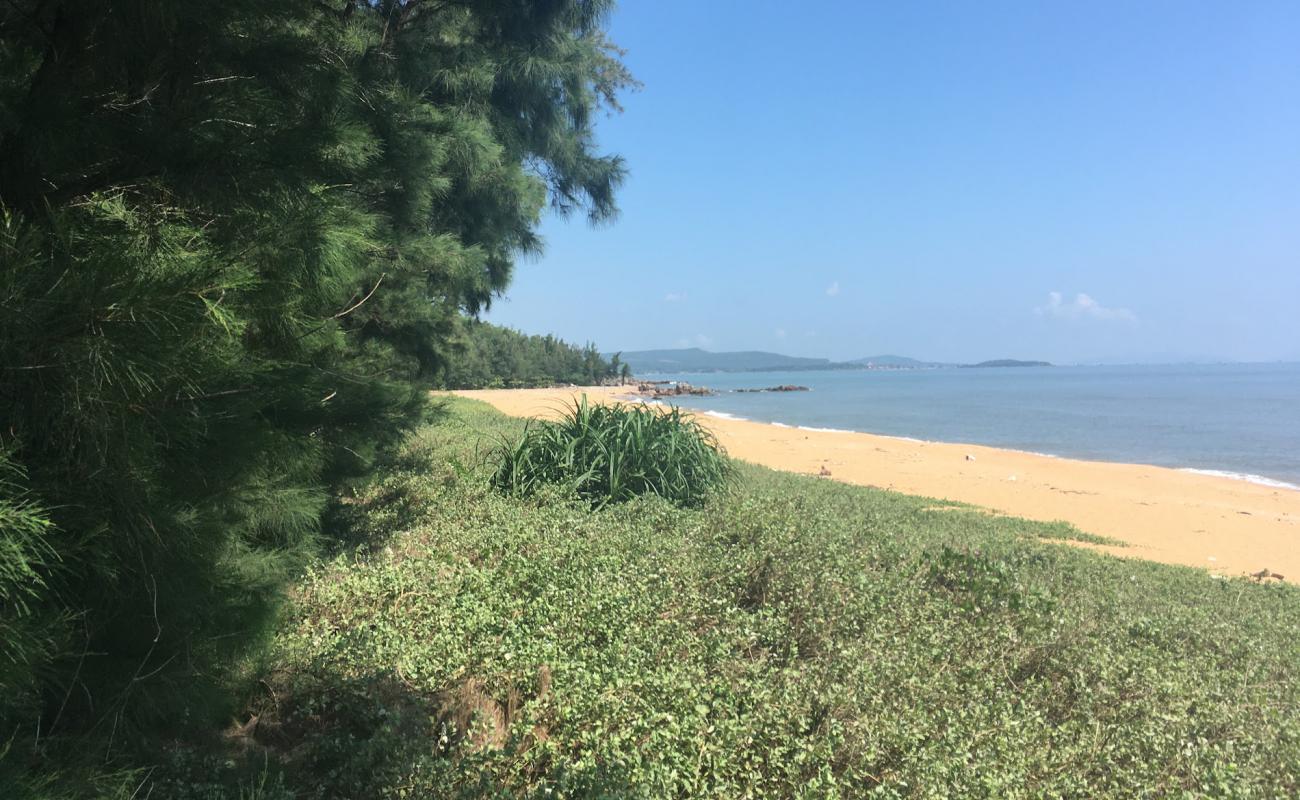 Photo of Camping Paradise beach with bright sand surface