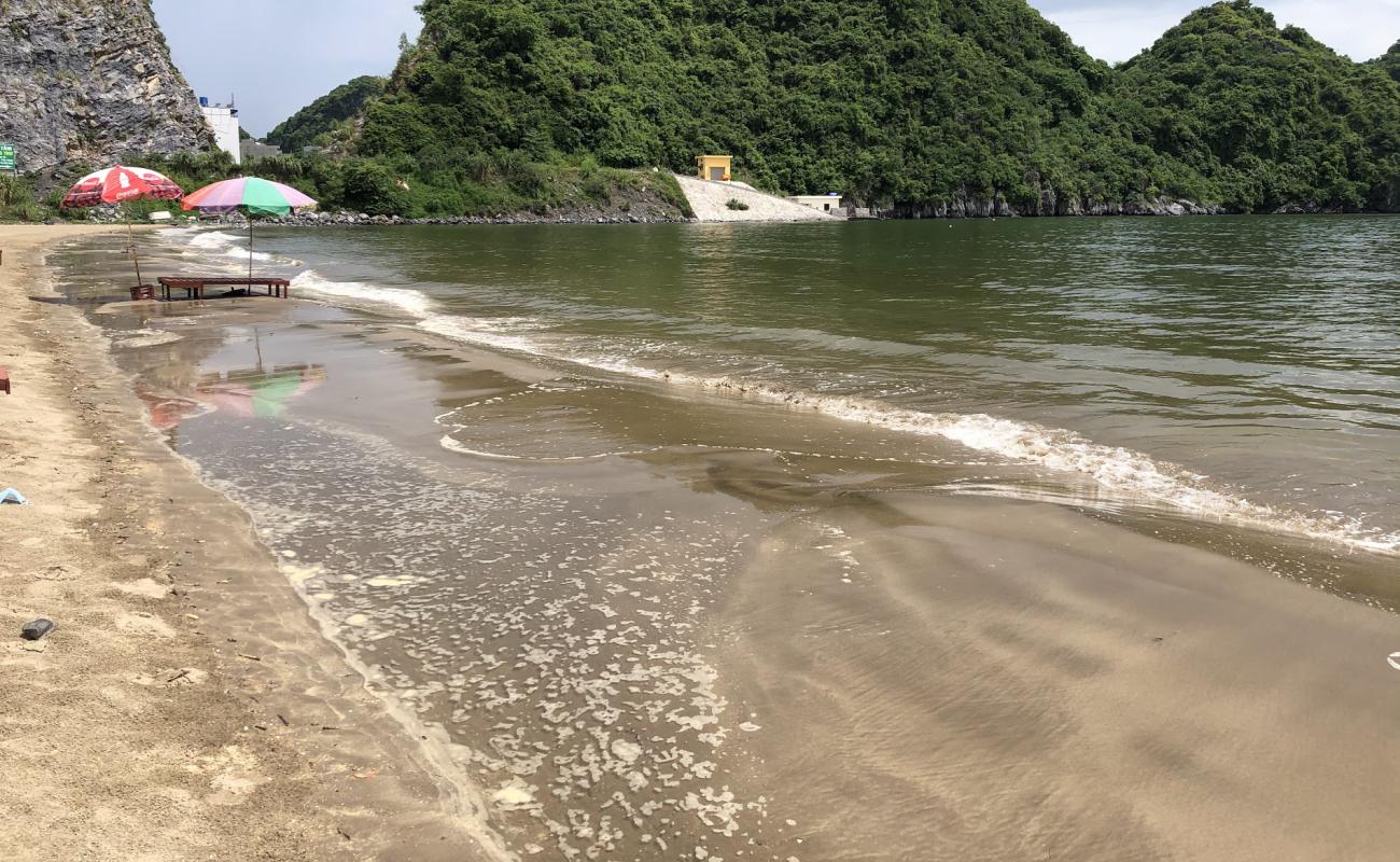 Photo of Tung thu beach with bright sand surface