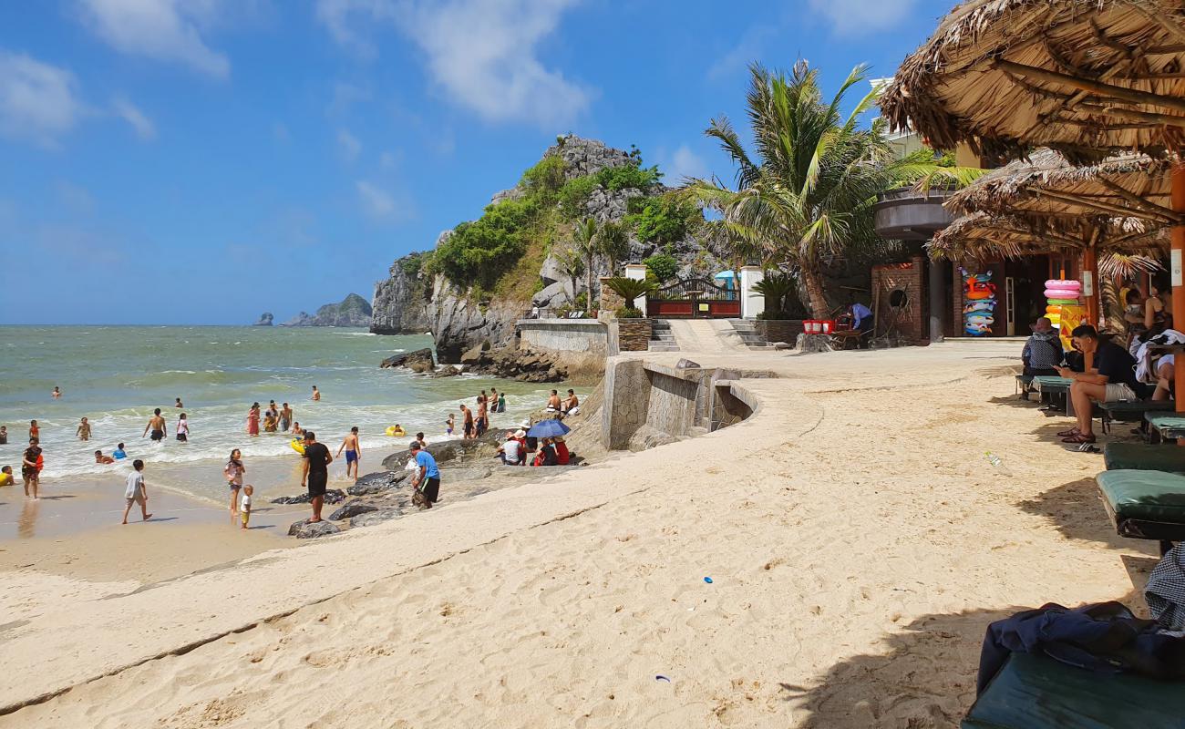 Photo of Cat Co 3 Beach with bright fine sand surface