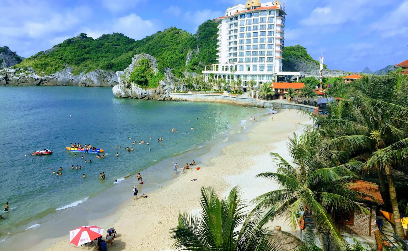 Photo of Cat Co 2 Beach with bright sand surface