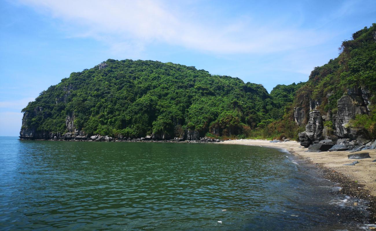 Photo of Blue Swimmer Beach with light sand &  pebble surface