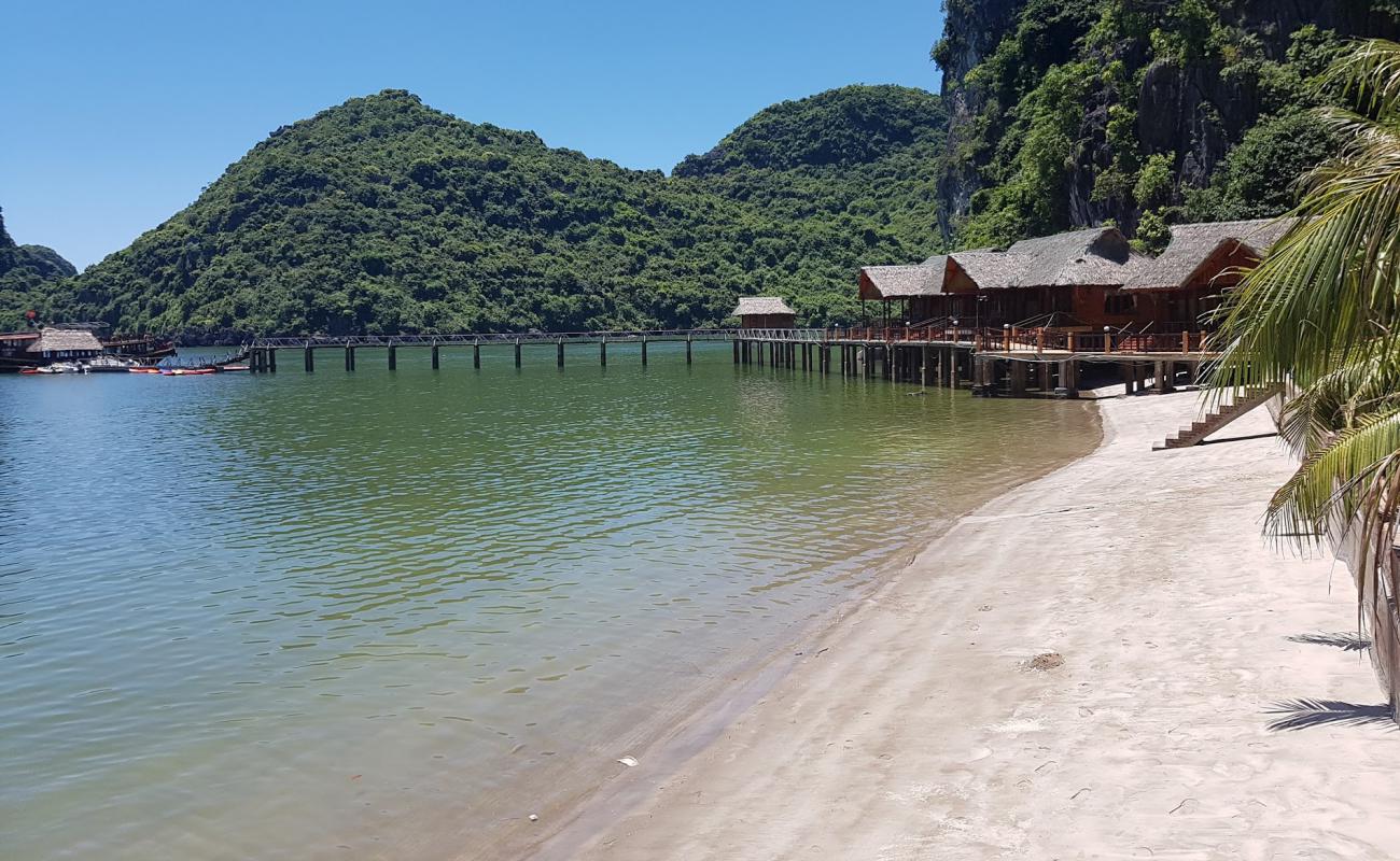 Photo of Nam Cat beach with bright sand surface