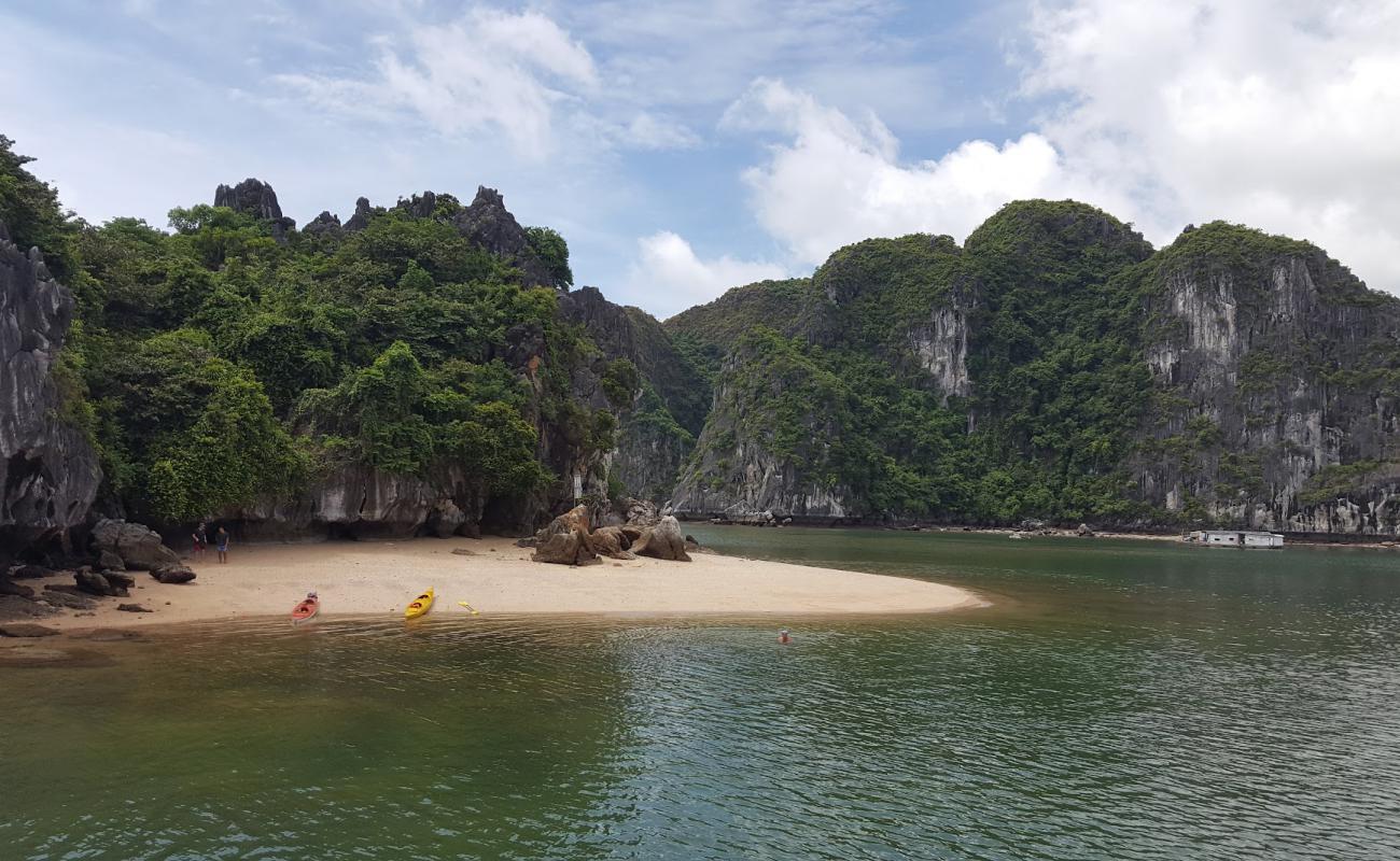 Photo of Van Boi Beach with bright sand surface