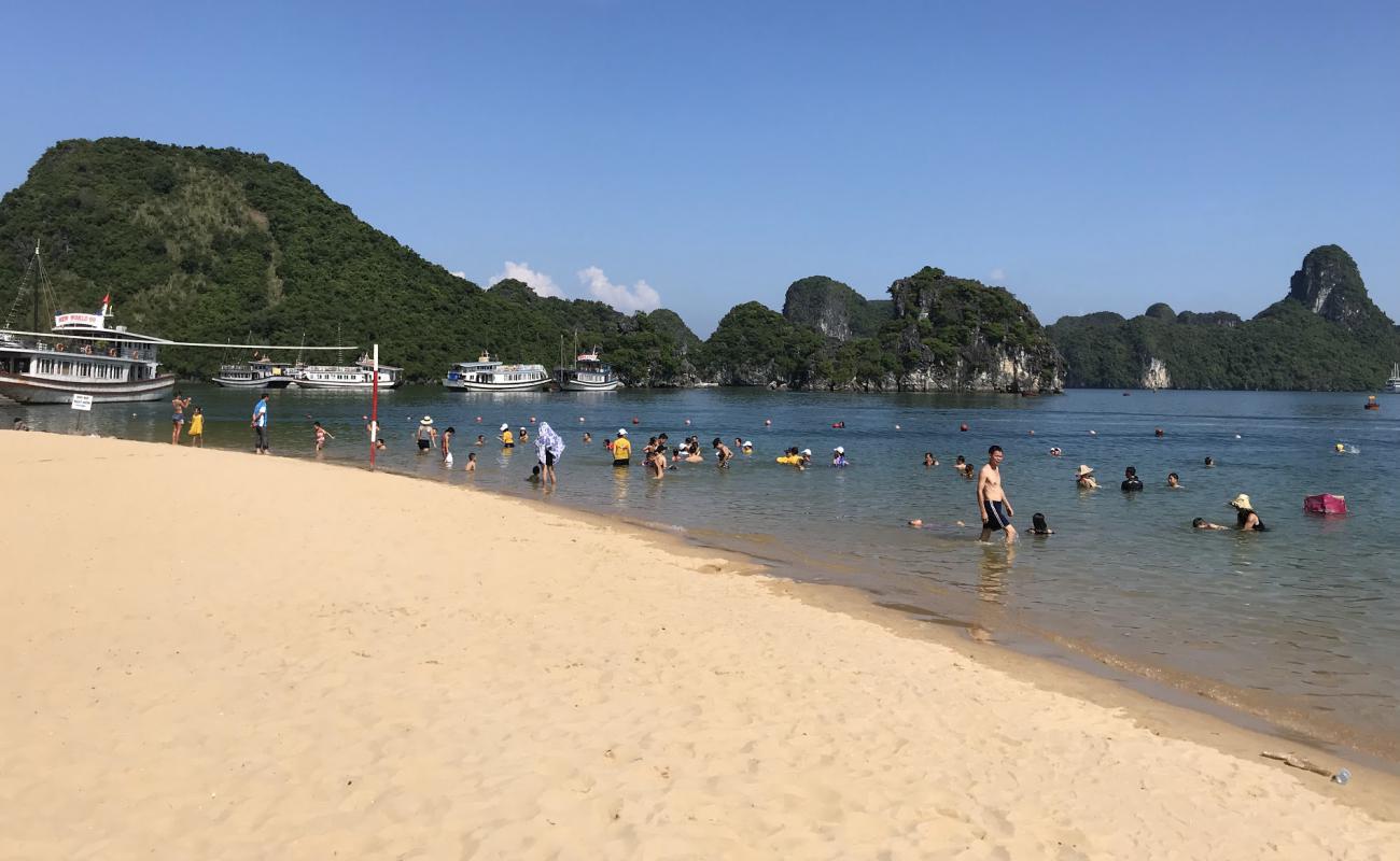 Photo of Ti Top Beach with bright sand surface