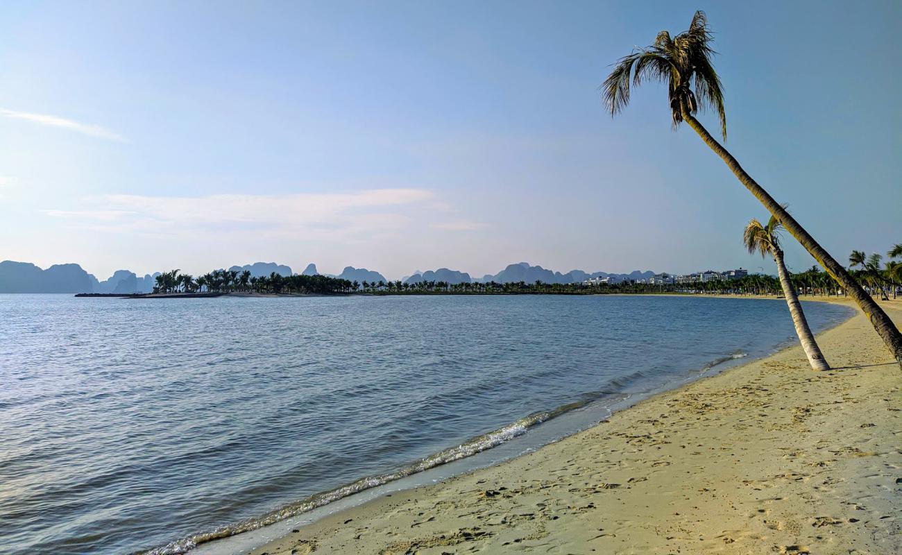 Photo of Tuan Chau Resort beach with bright sand surface