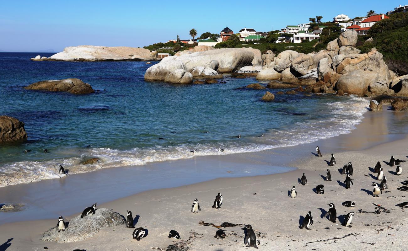 Photo of Boulders Beach with bright sand surface