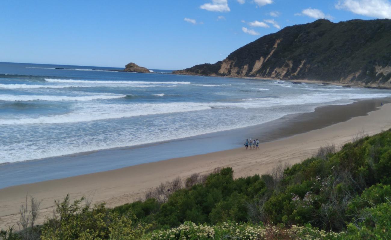 Photo of Swartvlei beach with bright sand surface