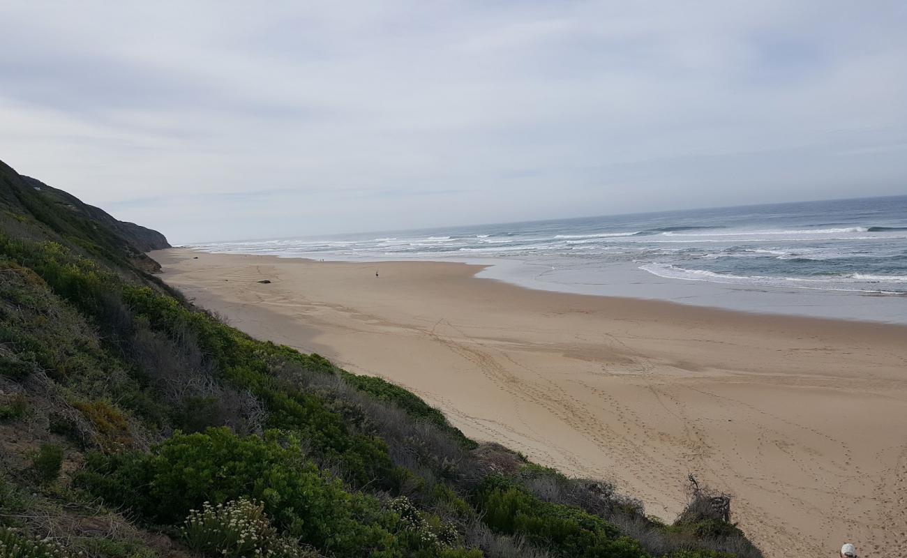 Photo of Groenvlei beach with bright fine sand surface