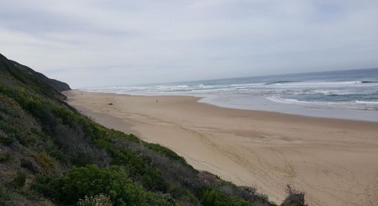 Groenvlei beach