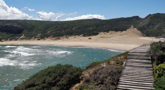 Robberg reserve beach