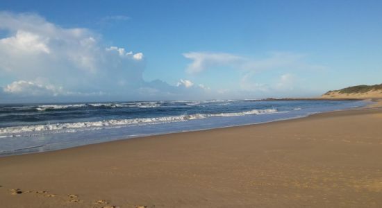 Forest Downs beach