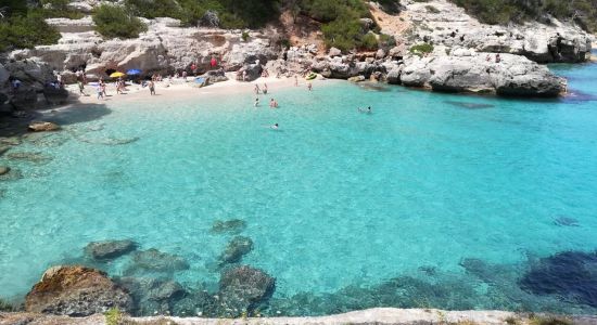 Cala Mitjaneta