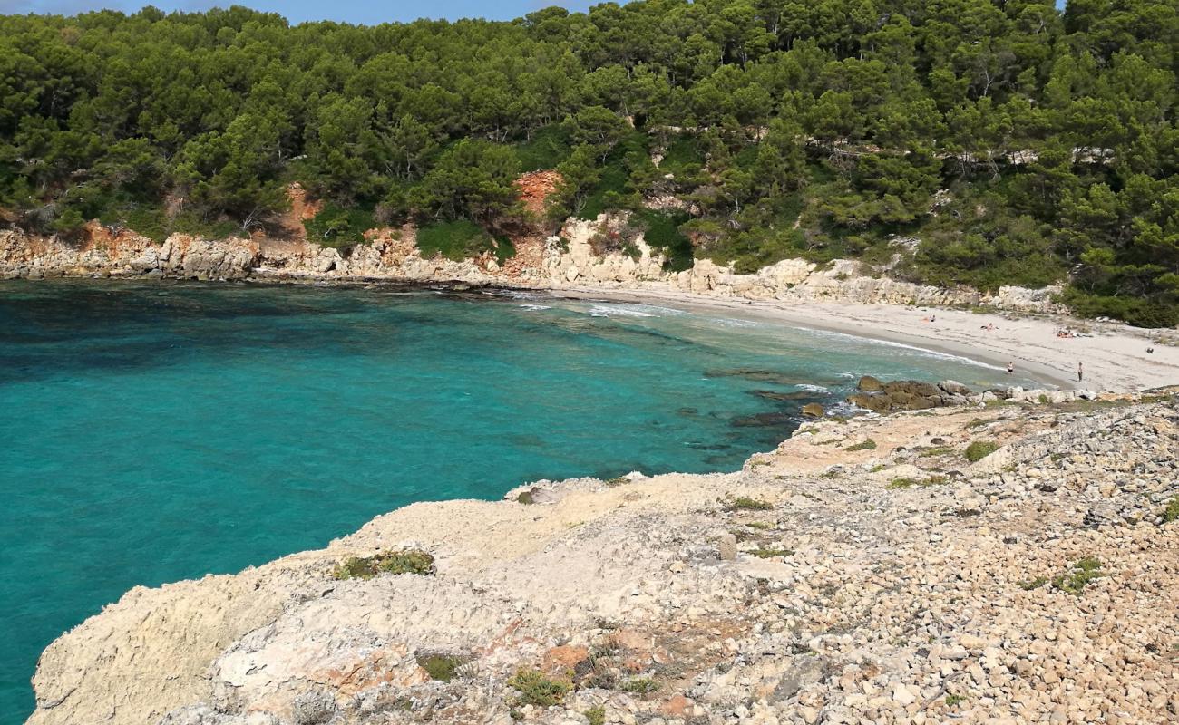 Photo of Playa Cala Escorxada with bright fine sand surface