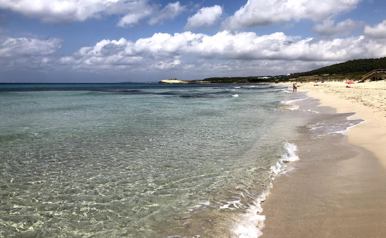 Photo of Son Bou Beach with bright fine sand surface