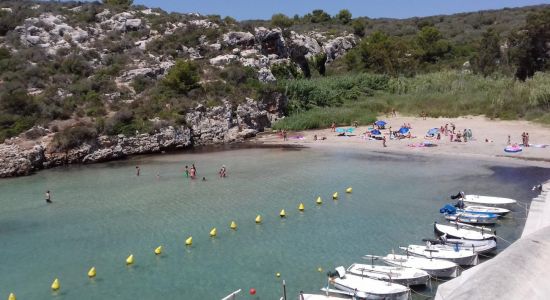 Playa es Canutells