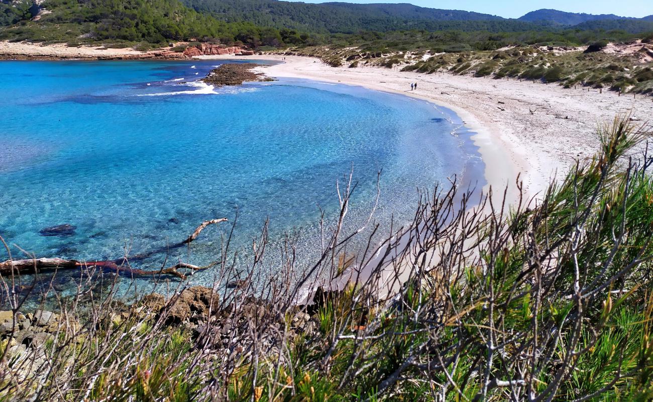 Photo of Cala Algaiarens beach with bright fine sand surface