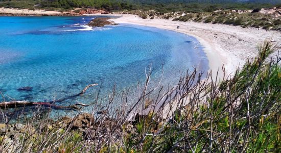 Cala Algaiarens beach