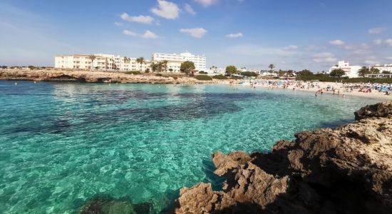 Cala en Bosch Beach