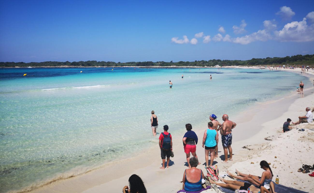 Photo of Bellavista beach with bright fine sand surface