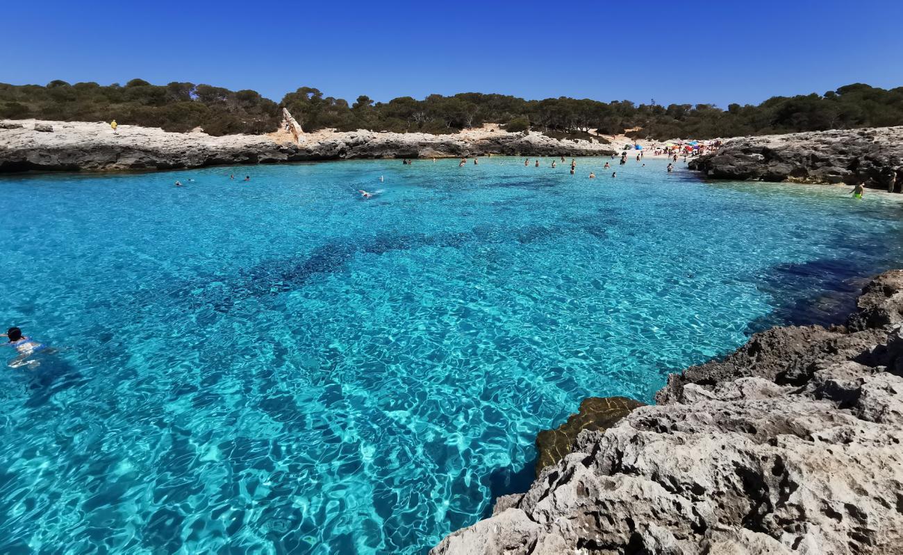 Photo of Talaier beach with bright fine sand surface