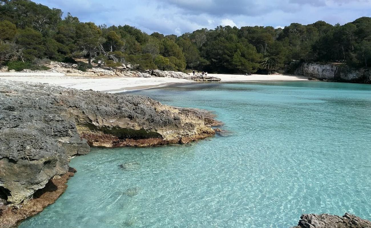 Photo of Cala en Turqueta beach with bright fine sand surface