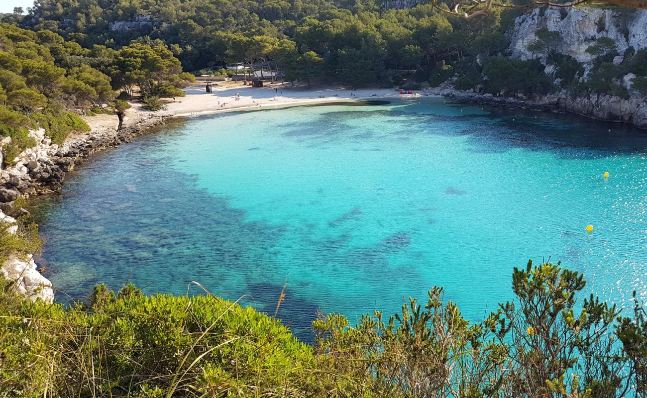 Photo of Cala Macarella beach with bright fine sand surface