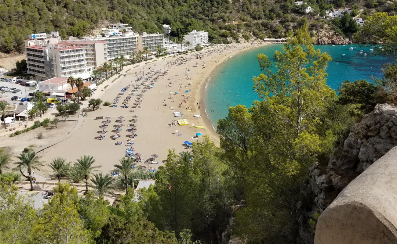 Photo of Cala de Sant Vicent beach with bright fine sand surface