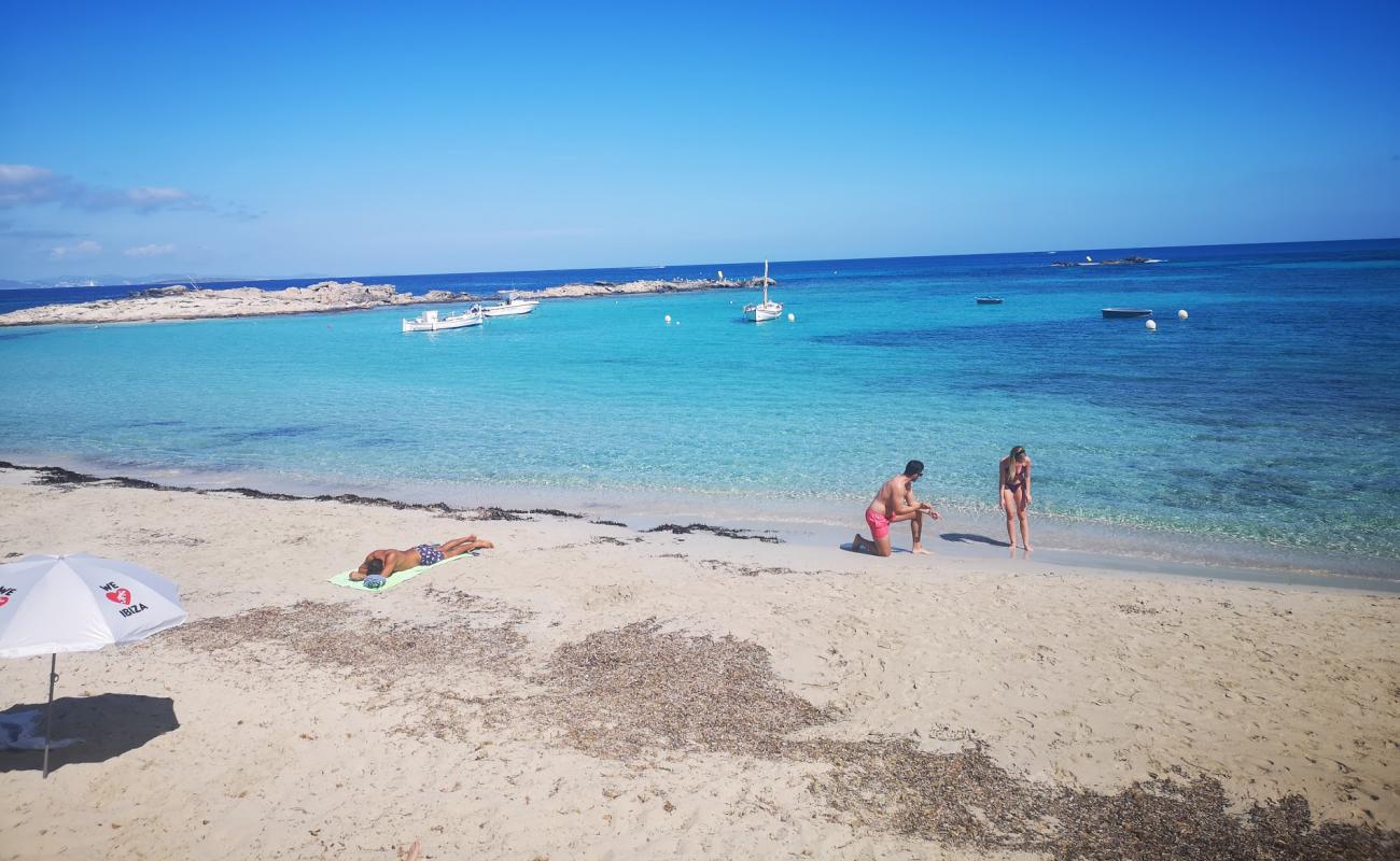 Photo of Platja de la Torreta with white fine sand surface