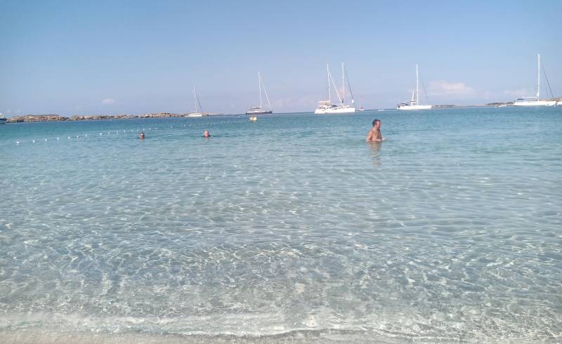 Photo of Punta des Carritx with white fine sand surface