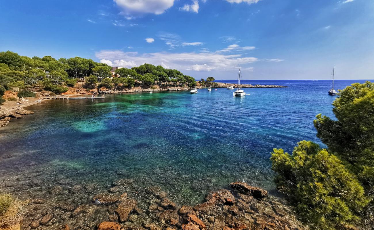 Photo of Platja de Mardavall with rocks cover surface