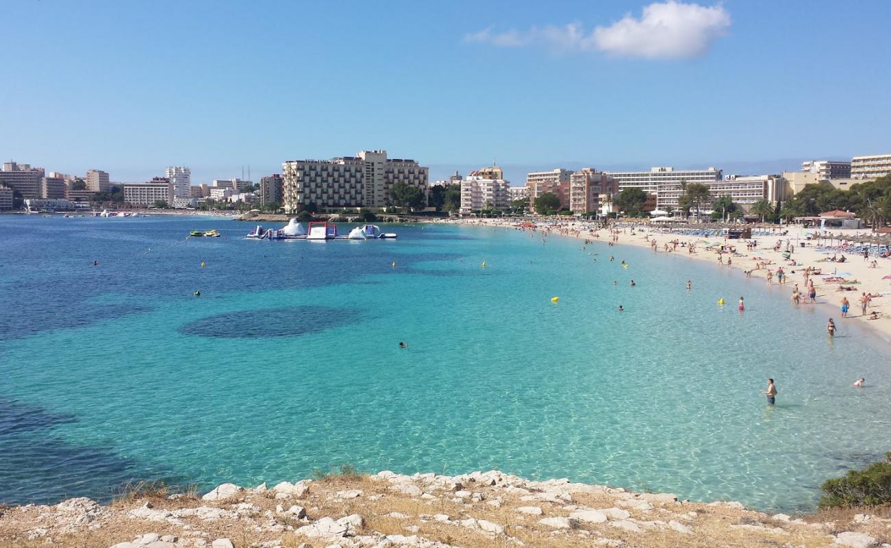 Photo of Palmanova Beach II with bright fine sand surface