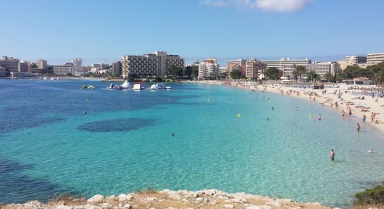 Palmanova Beach II