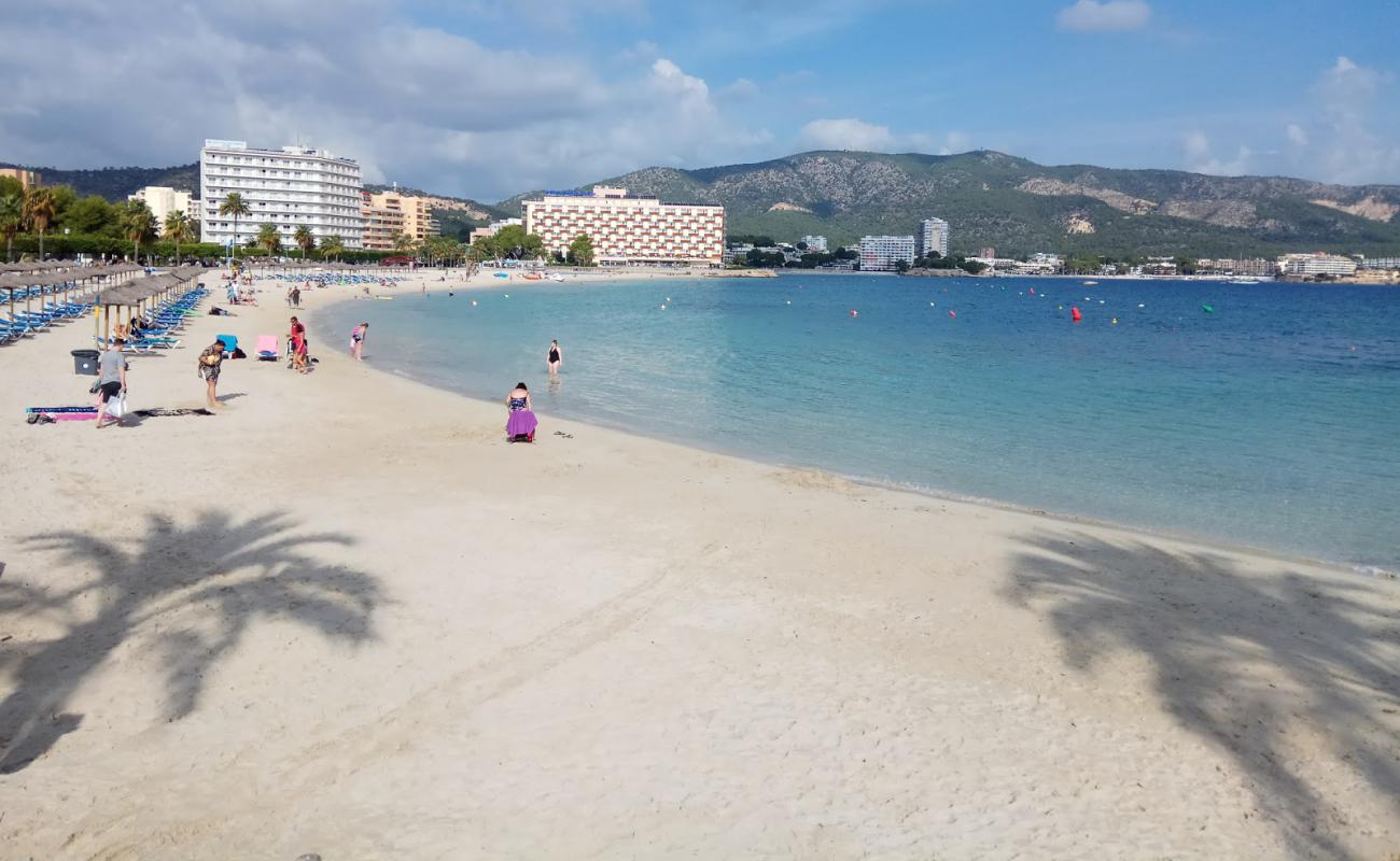 Photo of Palmanova Beach with bright fine sand surface