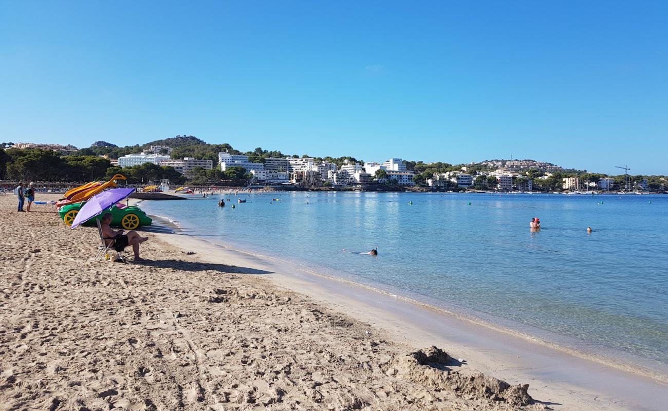 Photo of Playa Santa Ponsa with bright fine sand surface