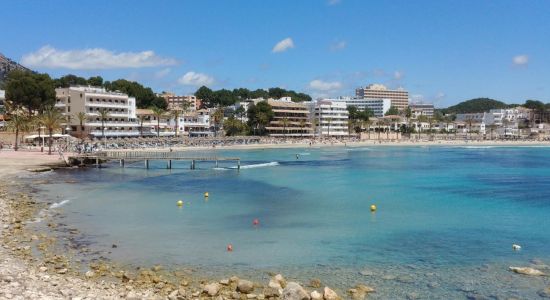 Peguera beach