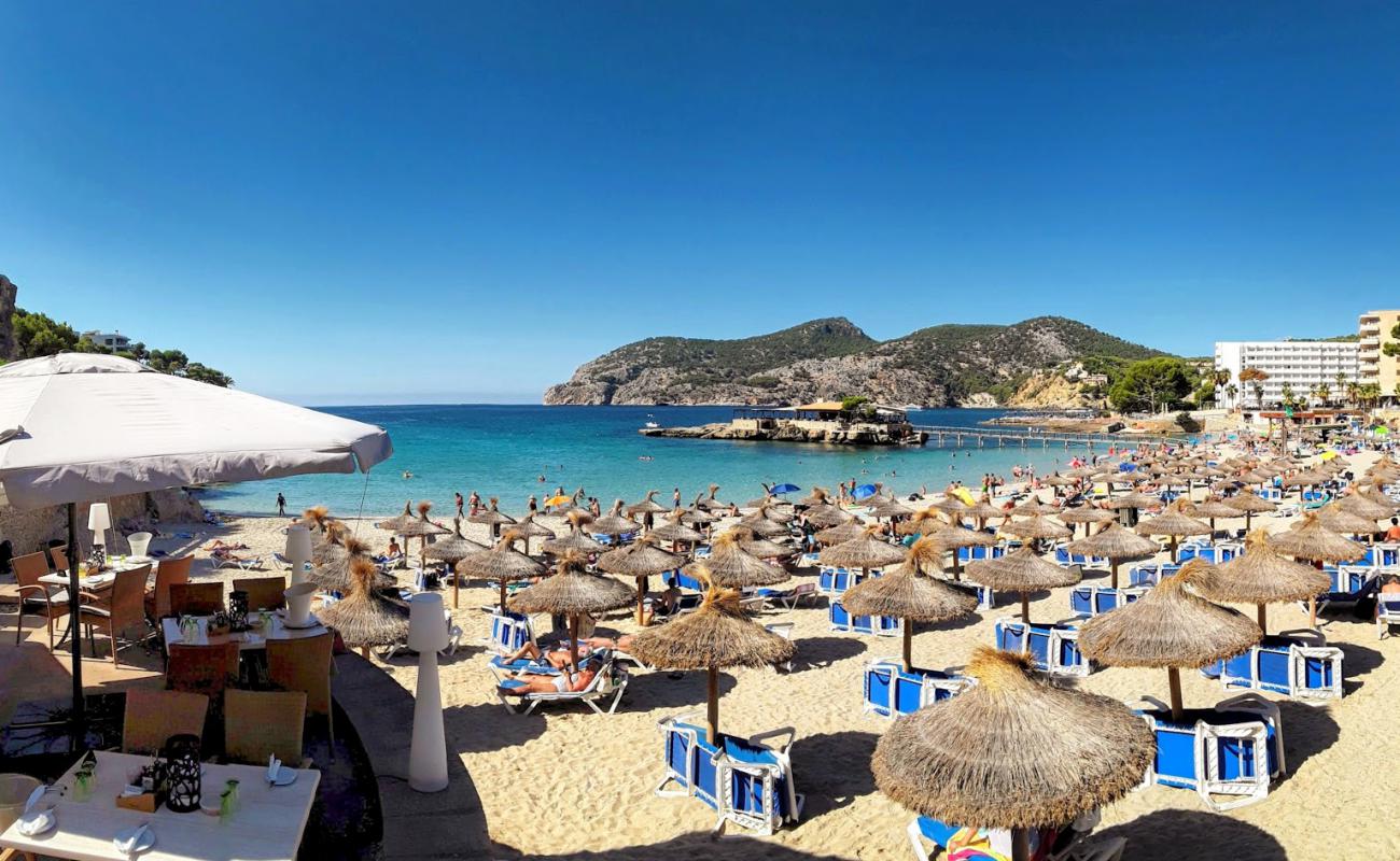 Photo of Camp De Mar beach with bright fine sand surface