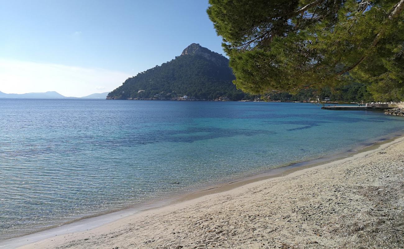 Photo of Formentor beach with bright fine sand surface