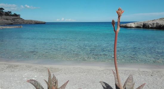 Playa Cala Murada