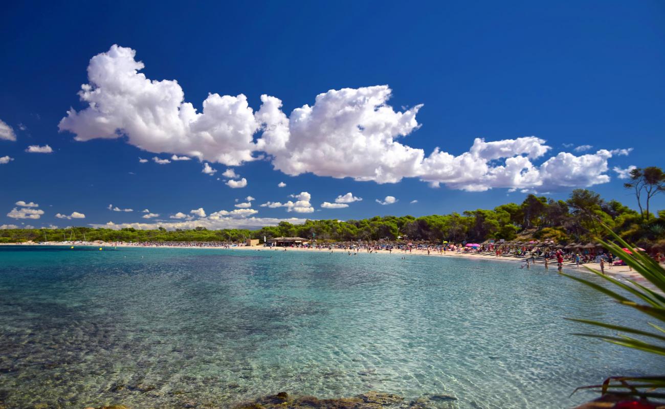 Photo of Moli de s'Estany beach with bright fine sand surface