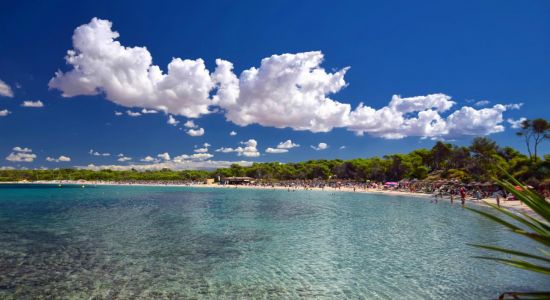 Moli de s'Estany beach