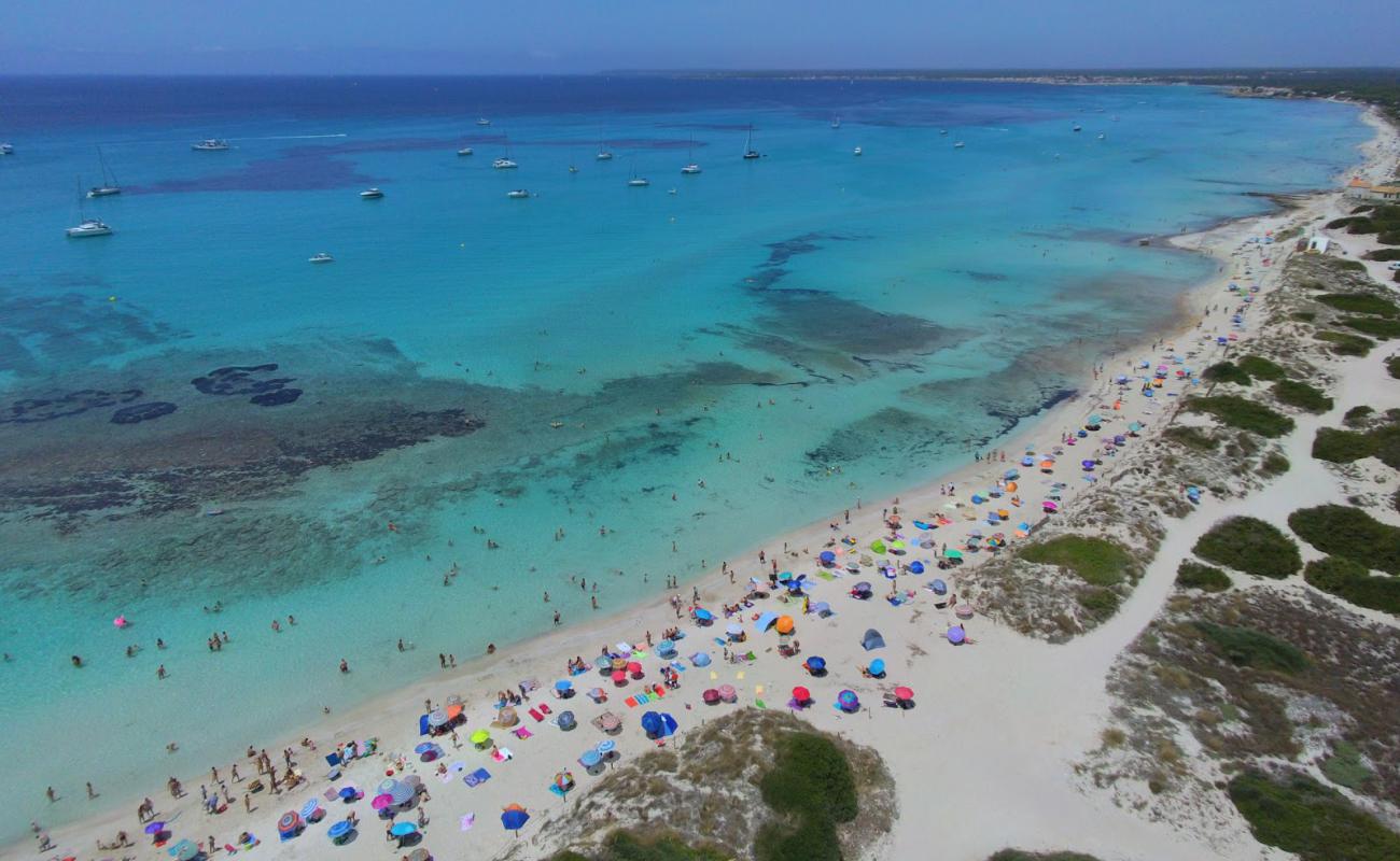 Photo of Platja Des Trenc with white fine sand surface