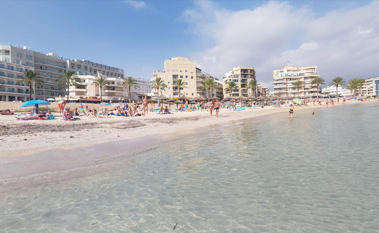 Photo of Platja d'Or with very clean level of cleanliness