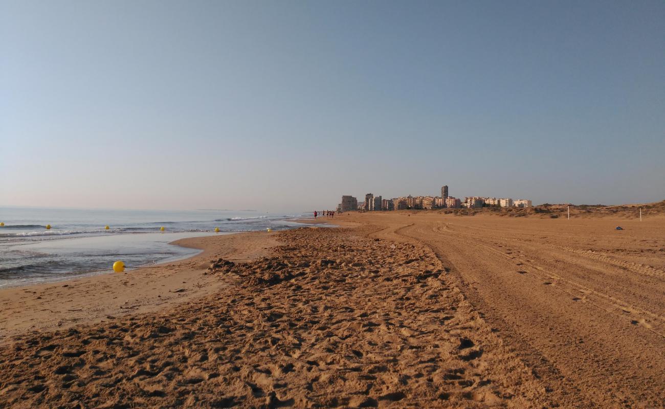 Photo of Libre de el Altet with brown sand surface