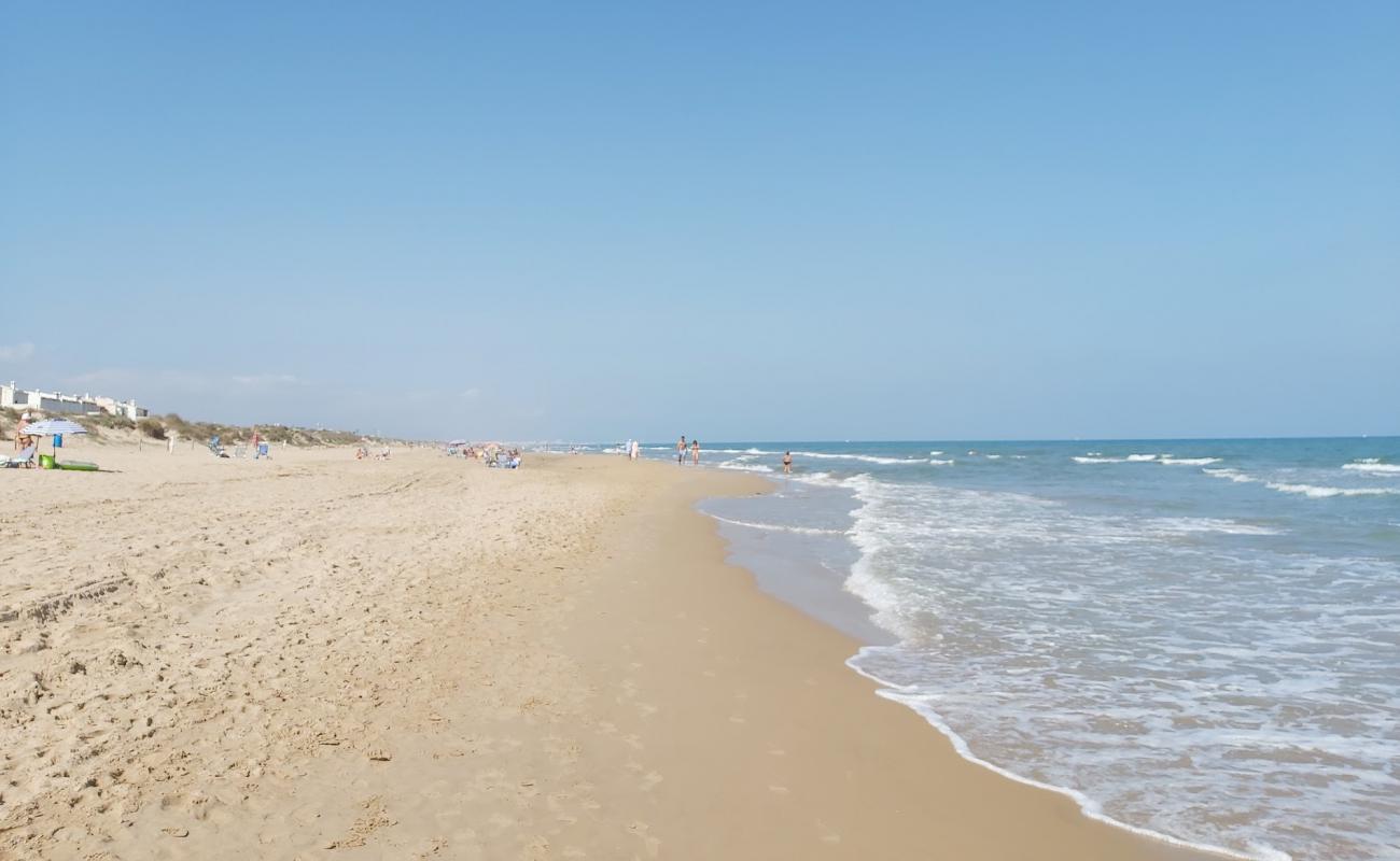 Photo of Platja la devesa with brown sand surface