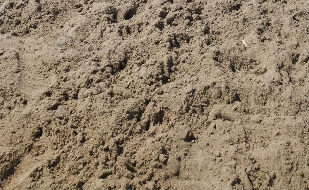 Photo of Playa de Canet with brown sand surface